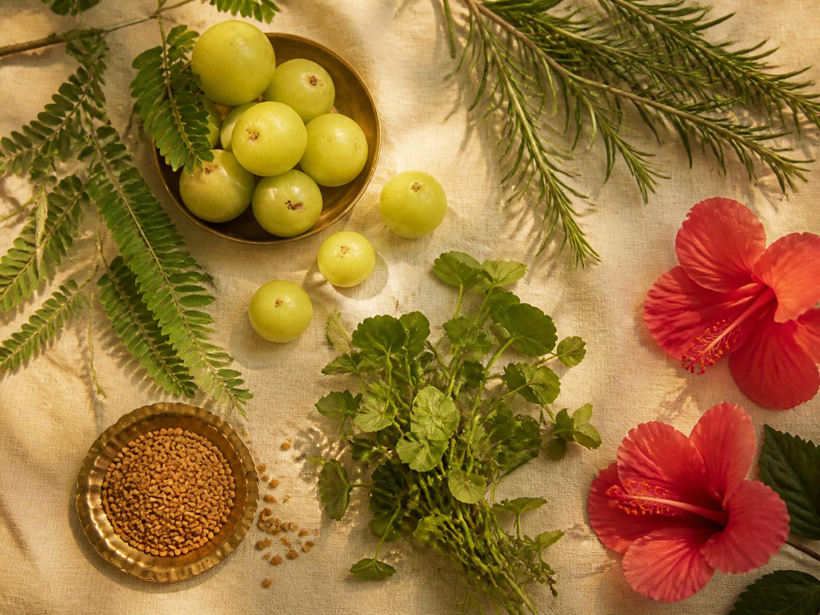 Ayurvedic herbs including amla, brahmi, hibiscus